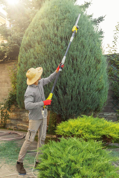 Mulching Services in Roundup, MT